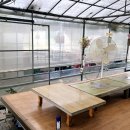 부원농원 이미지