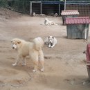 자룡농장 이미지