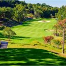 영동 일라이트CC 이미지