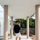 스테이 겹 이미지