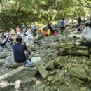 향로산자연휴양림 이미지