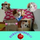 방울이네 - 강동구 양재대로 1655 | 방울이네