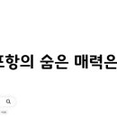 포항가자미물회식당 이미지