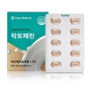 크로스팜 이미지
