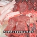 내방목장 이미지