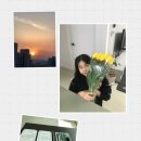 영율 이미지