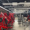 마리오 짐 이미지