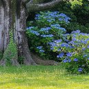 하마정원 이미지