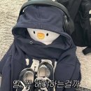 헤롱헤롱