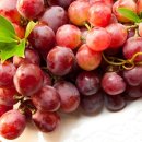 와이비메디칼 이미지