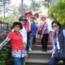 영어회화반 이미지