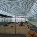 흑송농장 이미지