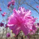 소월 - 군산시 구영5길 39 | 소월