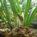 酒 사발 이미지