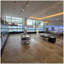 강아지와 고양이 | 대전도그마루에서 강아지와 고양이 입양 후기!