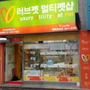 애견백화점 이미지