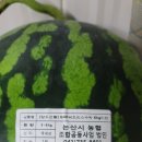 부여농약마트 이미지