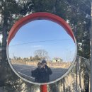 그리스펜션 이미지