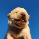 석화목장 이미지