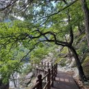 선암골생태유람길 이미지