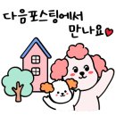 영도미용실 머리하기좋은날
