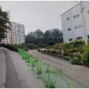 궁전아파트앞 이미지