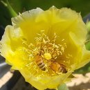 재호농장 이미지