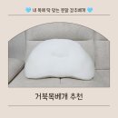 신세계인터네셔널(자JAJU | 자주 JAJU 이정현 경추베개 듀얼핏 분할 숙면 경추베개 추천 높이 조절 솔직후기
