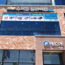 수목토일라이트 이미지