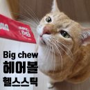 뭉치, 그루밍 | 고양이 헤어볼 관리, 빅츄 헤어볼 헬스 스틱 솔직 급여 후기