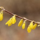 화성방조제 이미지