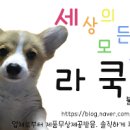 잇해픈