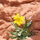 소설로 배우는 영어 이미지