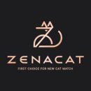 광주 고양이 분양 냥블리 광주점 | 전남 고양이분양 다녀온 솔직후기, 광주고양이분양 제나캣 광주점에서 만난 사랑스러운 냥이들