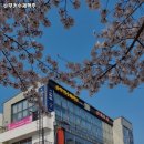 슈무커수제맥주