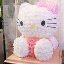 준플라워 이미지