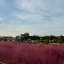 내리1길 이미지