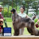 몽스토리 이미지