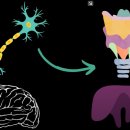 송 동물의료센터 이미지