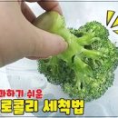 브로콜리 데치기 세척하는 법 데치는 시간 간단한 반찬 이미지