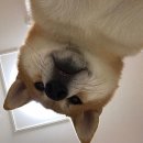 스킨온도 이미지