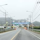증도마트 | 신선한 해물요리가 일품이었던 신안 증도 맛집 추천