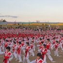 경희대석사경무태권도 이미지