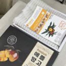 신안댁 | [소비리뷰] 신안댁 애플망고 ' 내돈내산 ' 구매 후기 (강추)