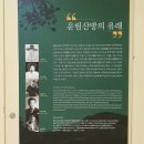 남해향토역사관 | 진도 가볼만한곳 운림산방 진도타워 알찬 일정!