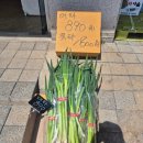 십이월 | 🍎🥬영종하늘도시 과일ㆍ야채싸게 파는 곳!-"십이월마켓"재방문 후기✨️