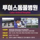 오 동물병원 이미지