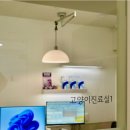 수서동물병원 이미지