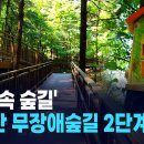도심속 숲길 이미지