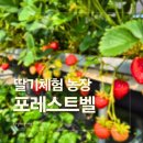 일만농장 | '포레스트벨' 동물체험과 딸기농장체험을 한번에!